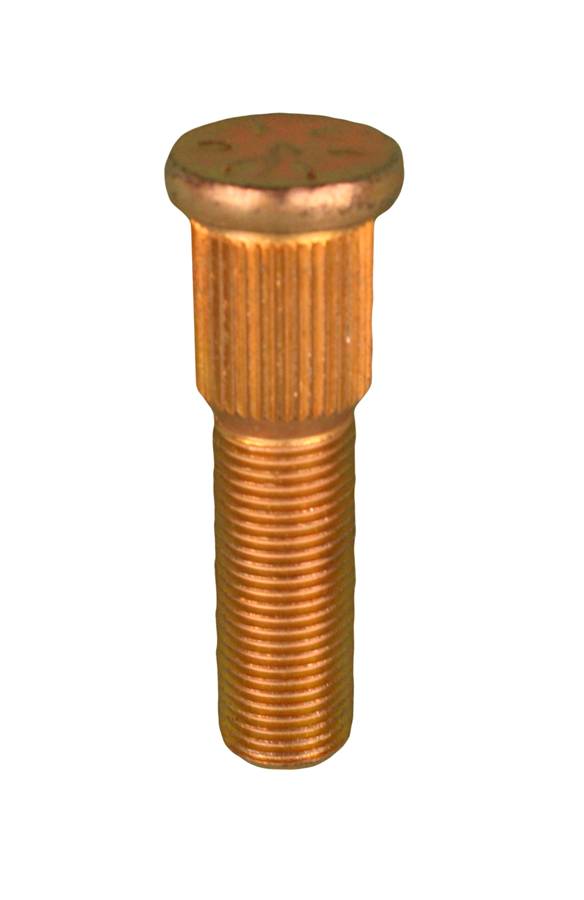 5750504.jpg