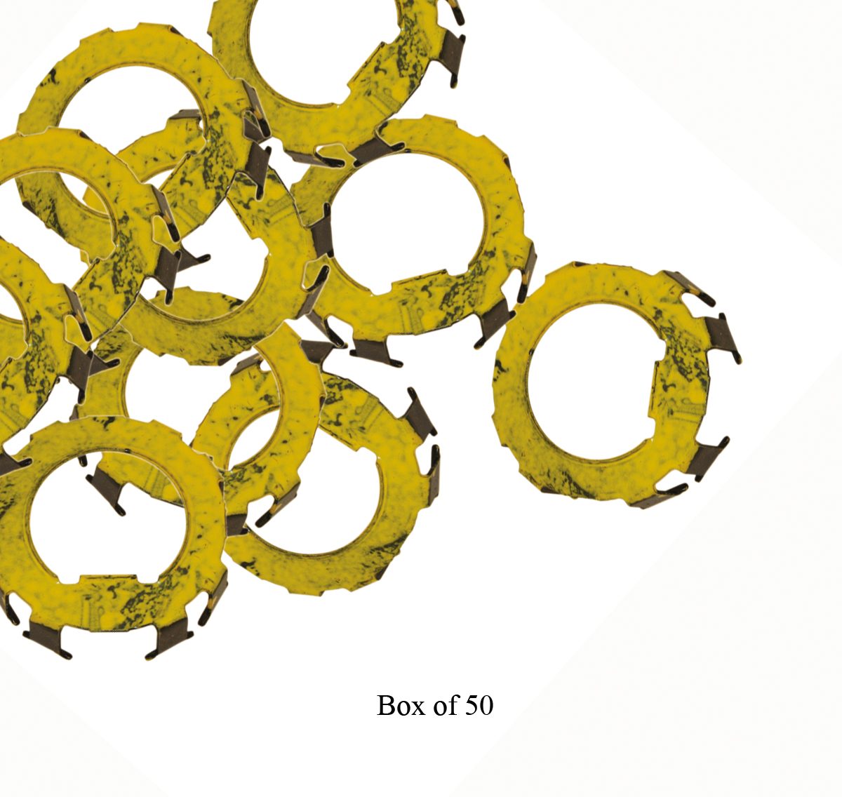 6500619.jpg